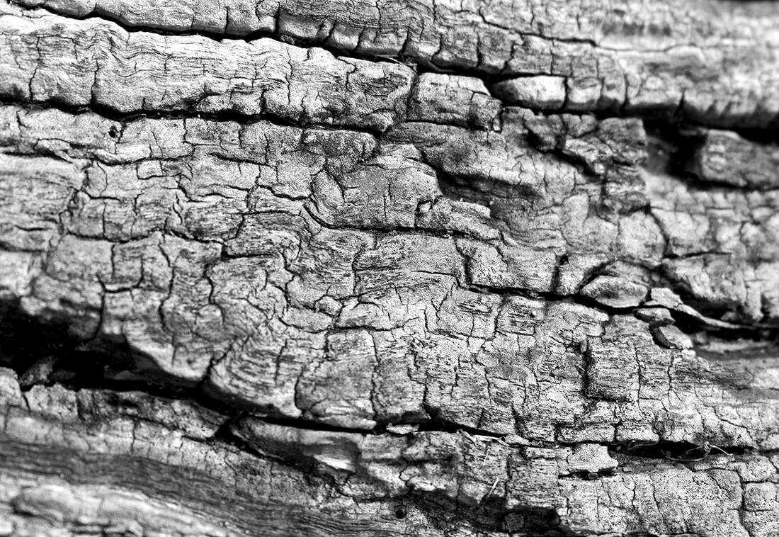 Natural textures