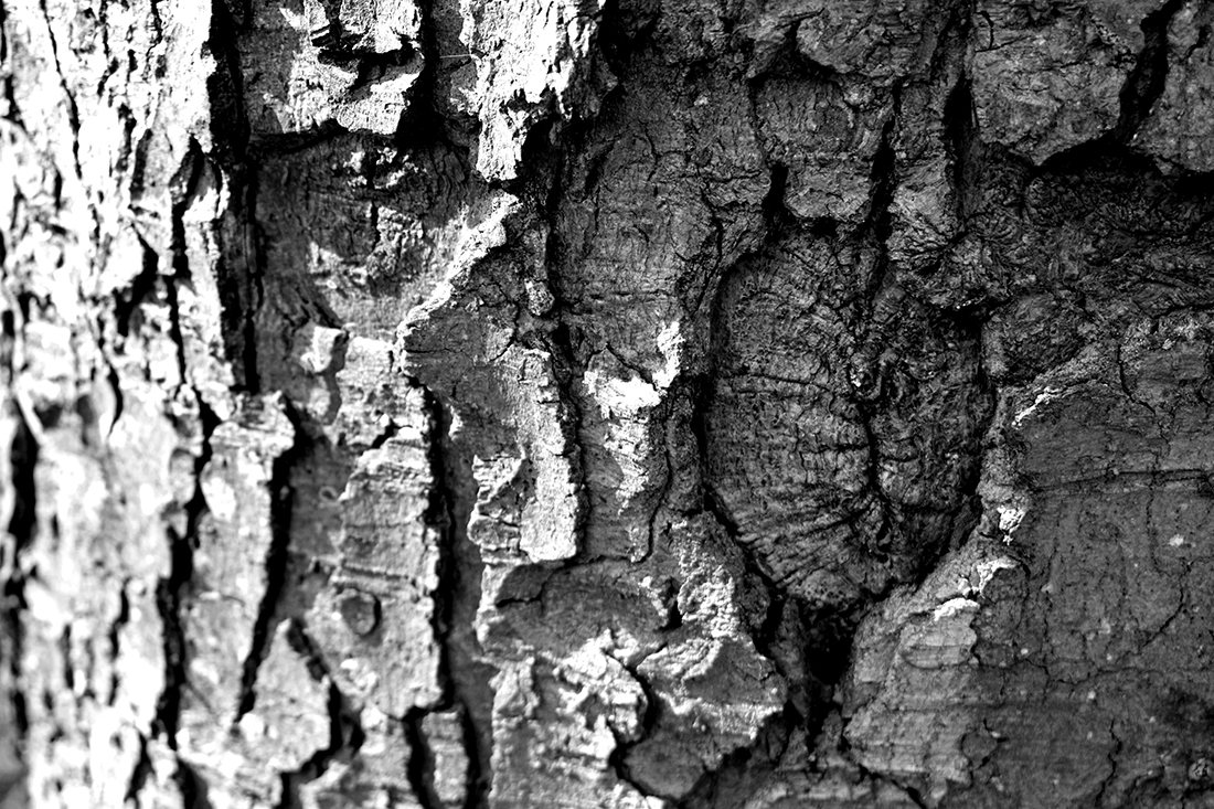 Natural textures
