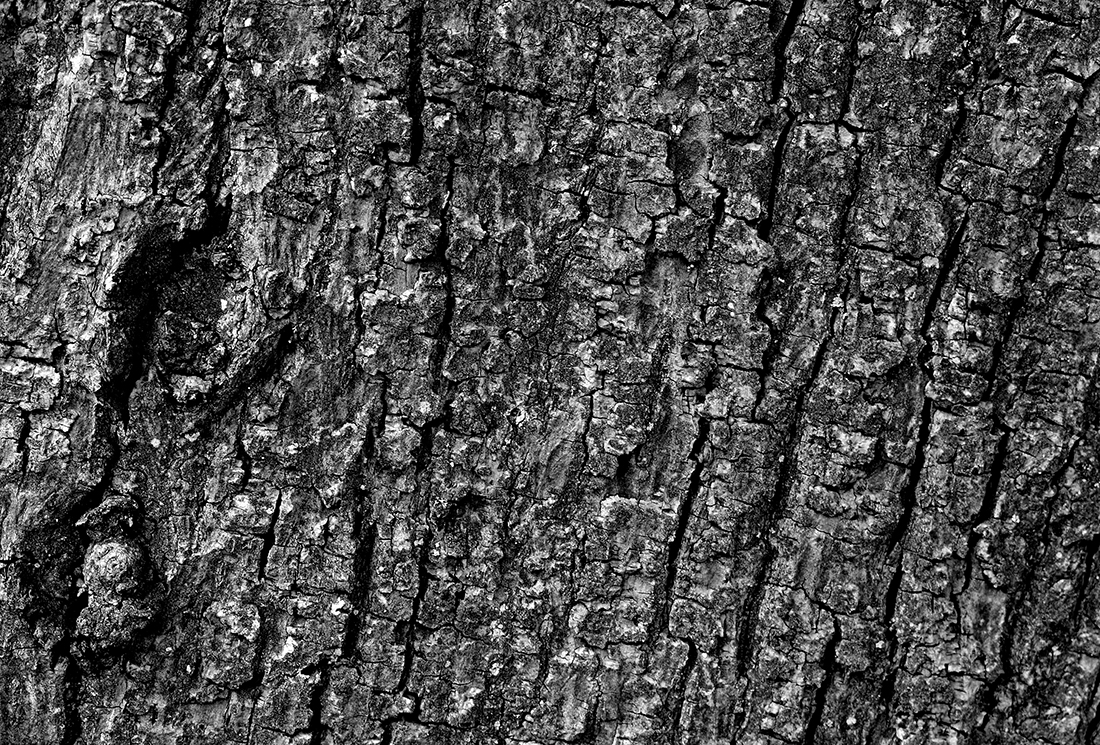 Natural textures