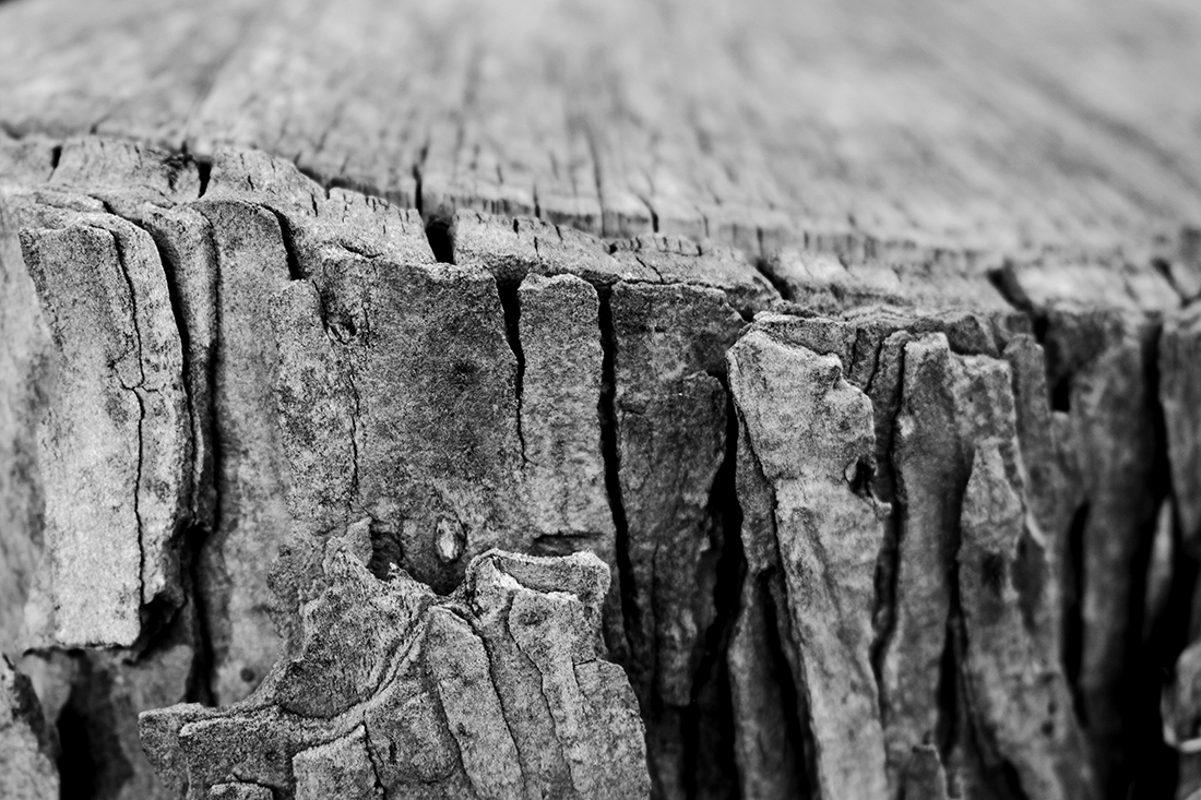 Natural textures