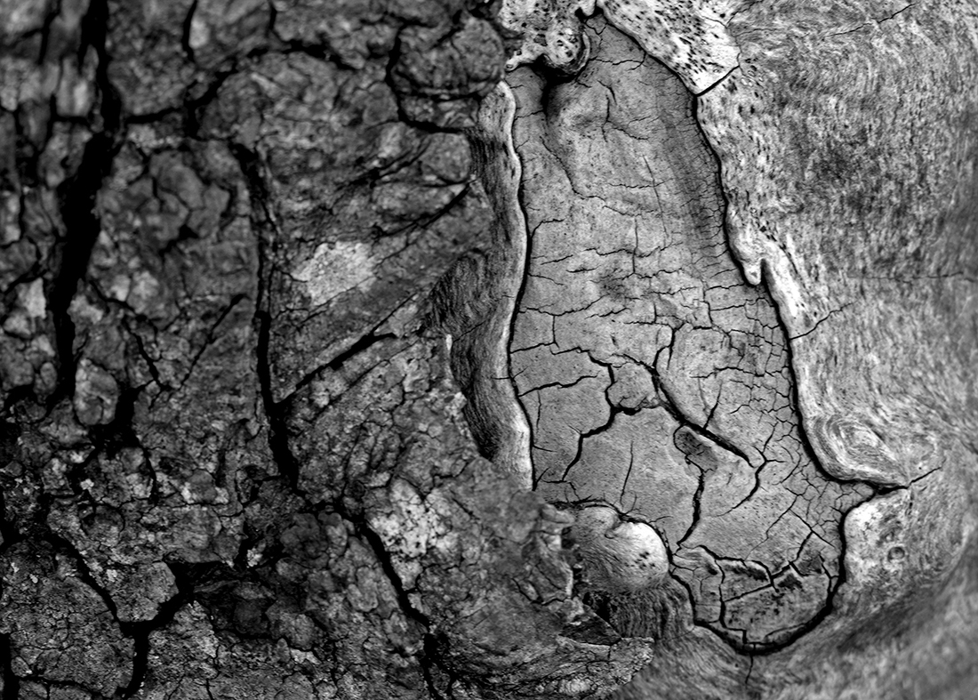 Natural textures