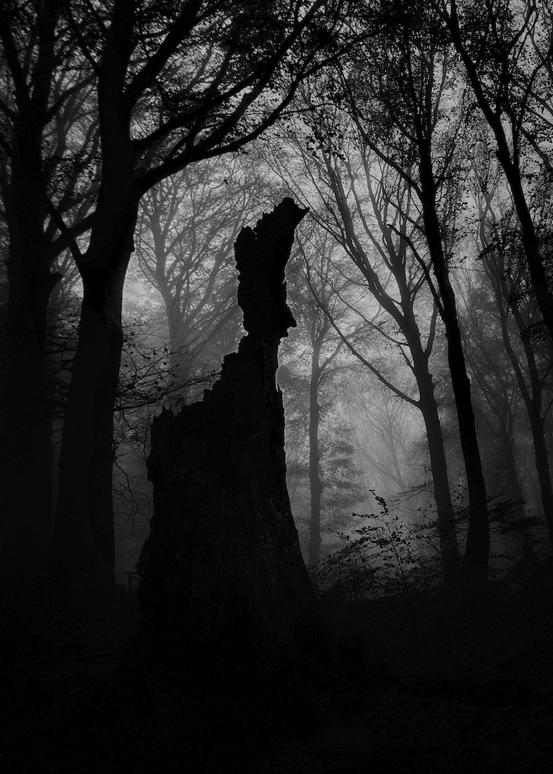 Outer Dark