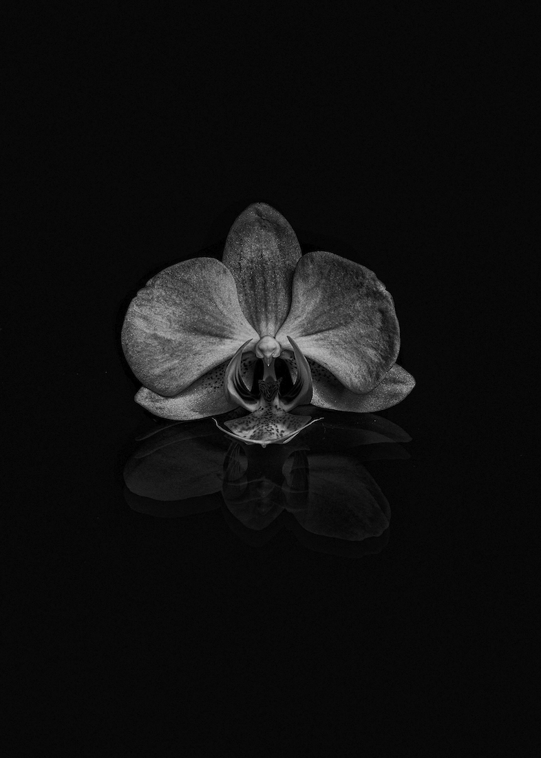 Outer Dark
