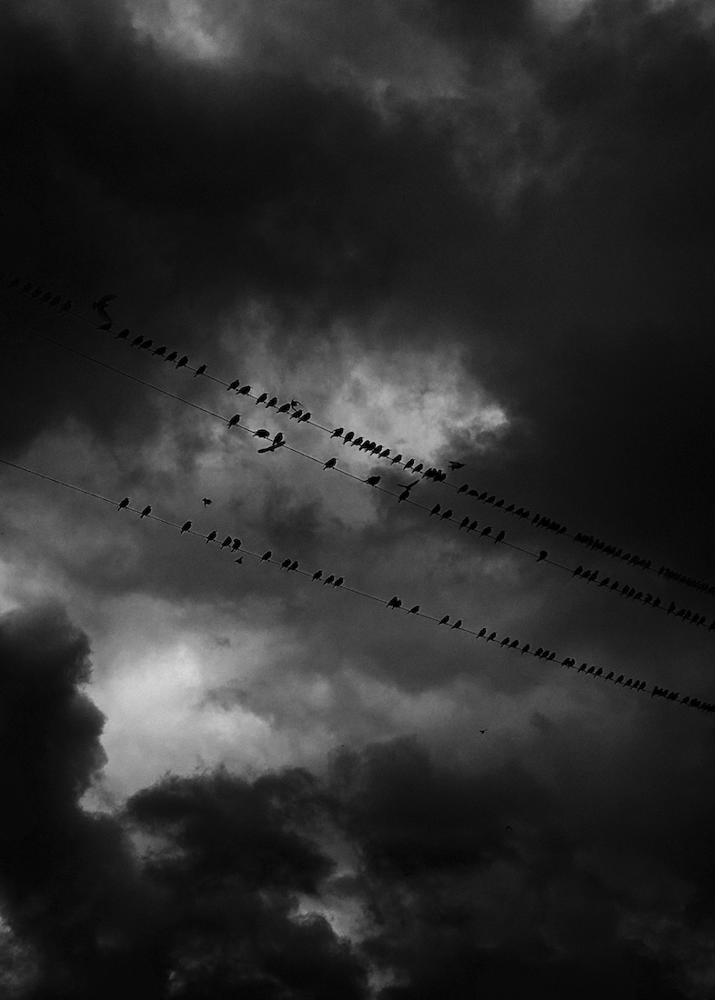 Outer Dark