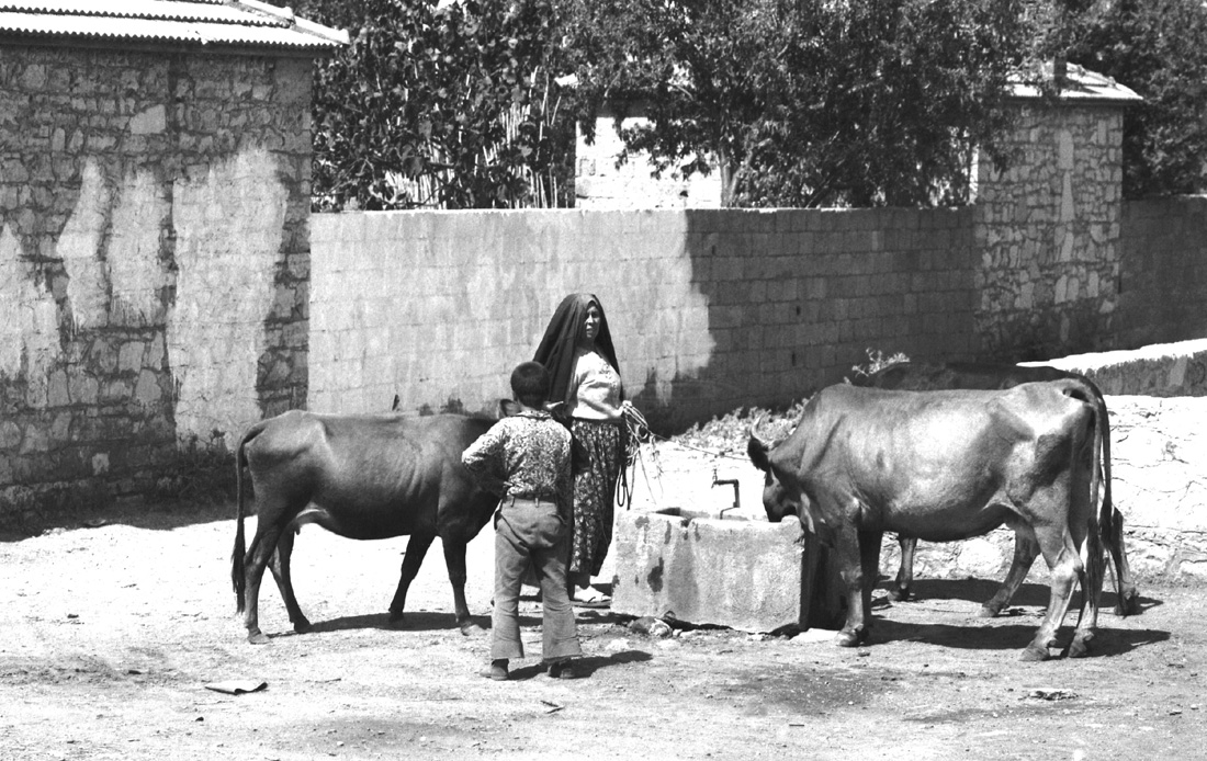 PEASANT ACTIVITY