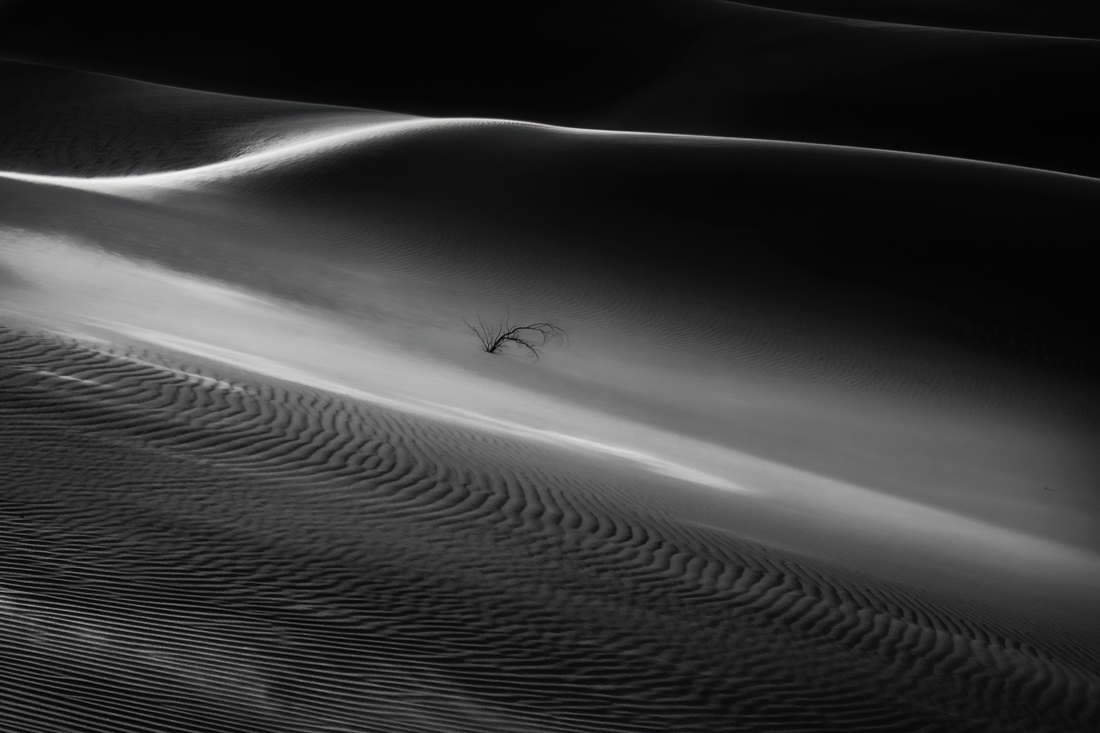 Mesquite Flat Sand Dunes