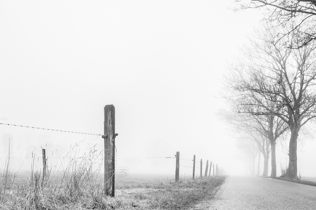 Misty paths into silence