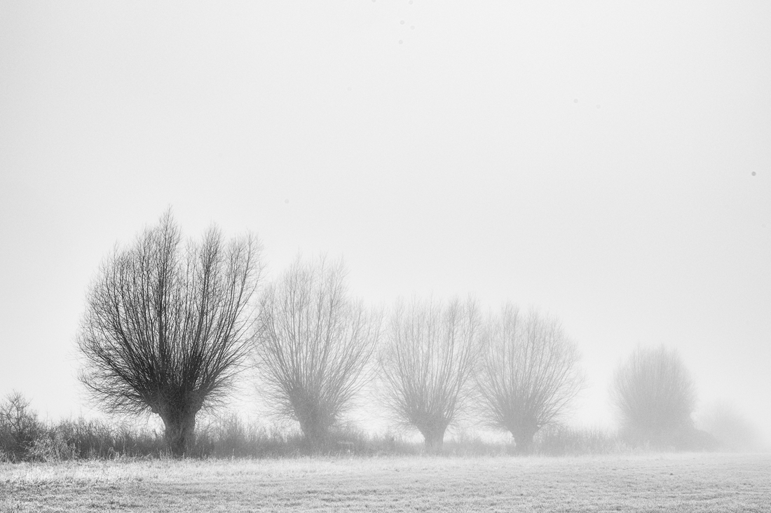 Misty paths into silence