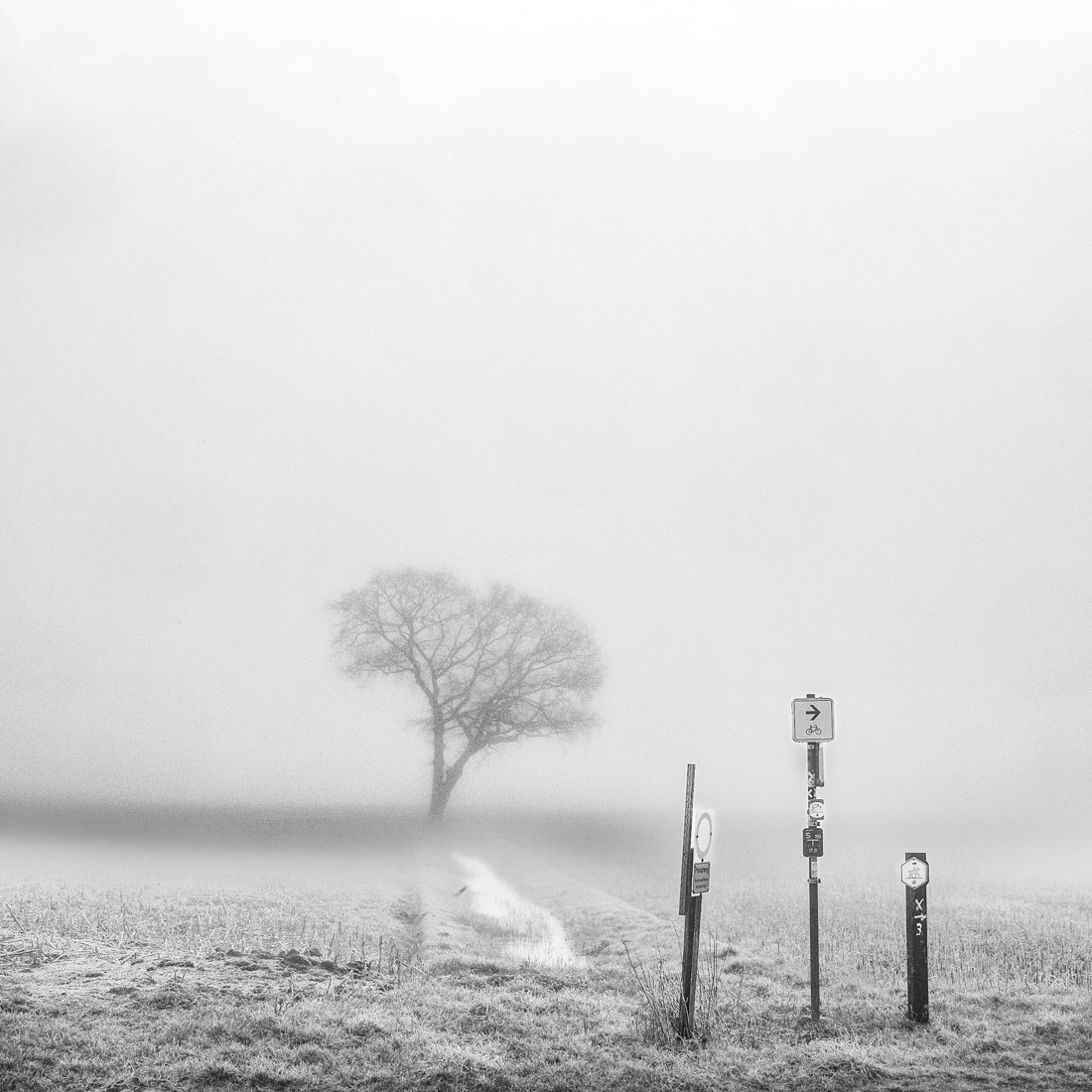 Misty paths into silence