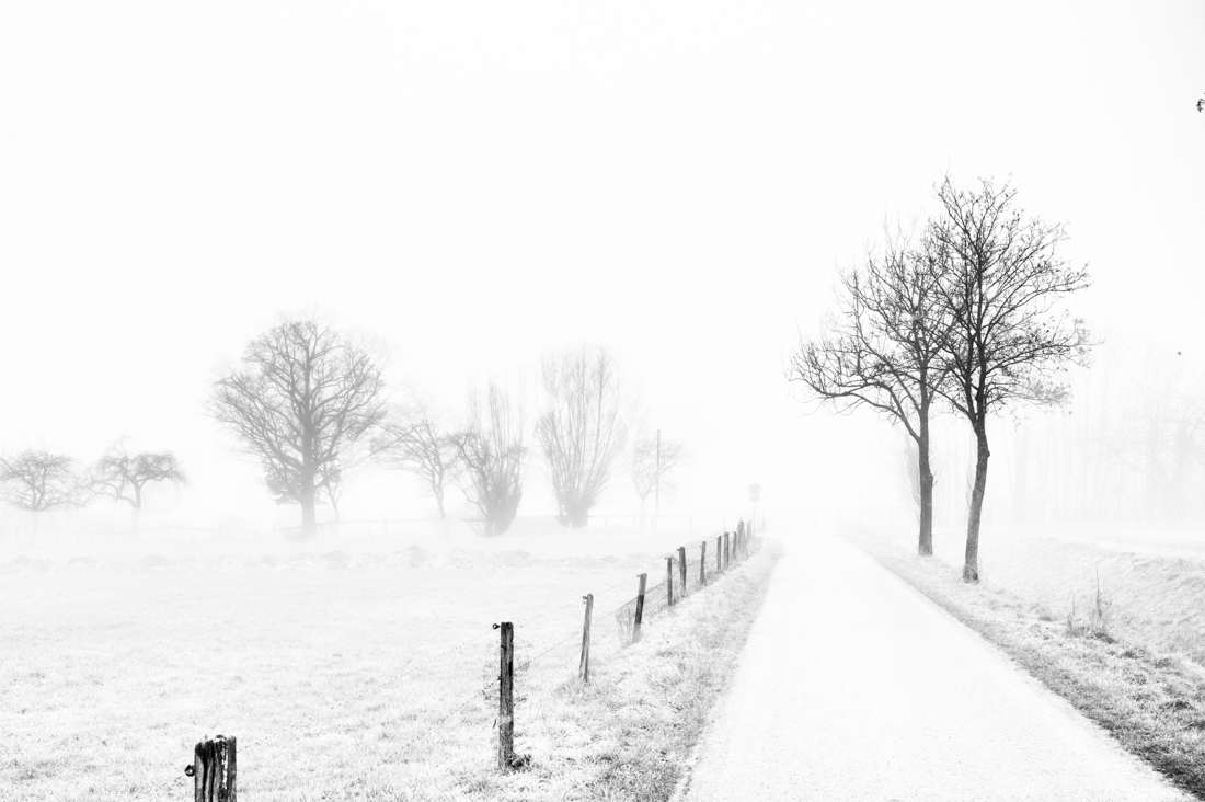 Misty paths into silence