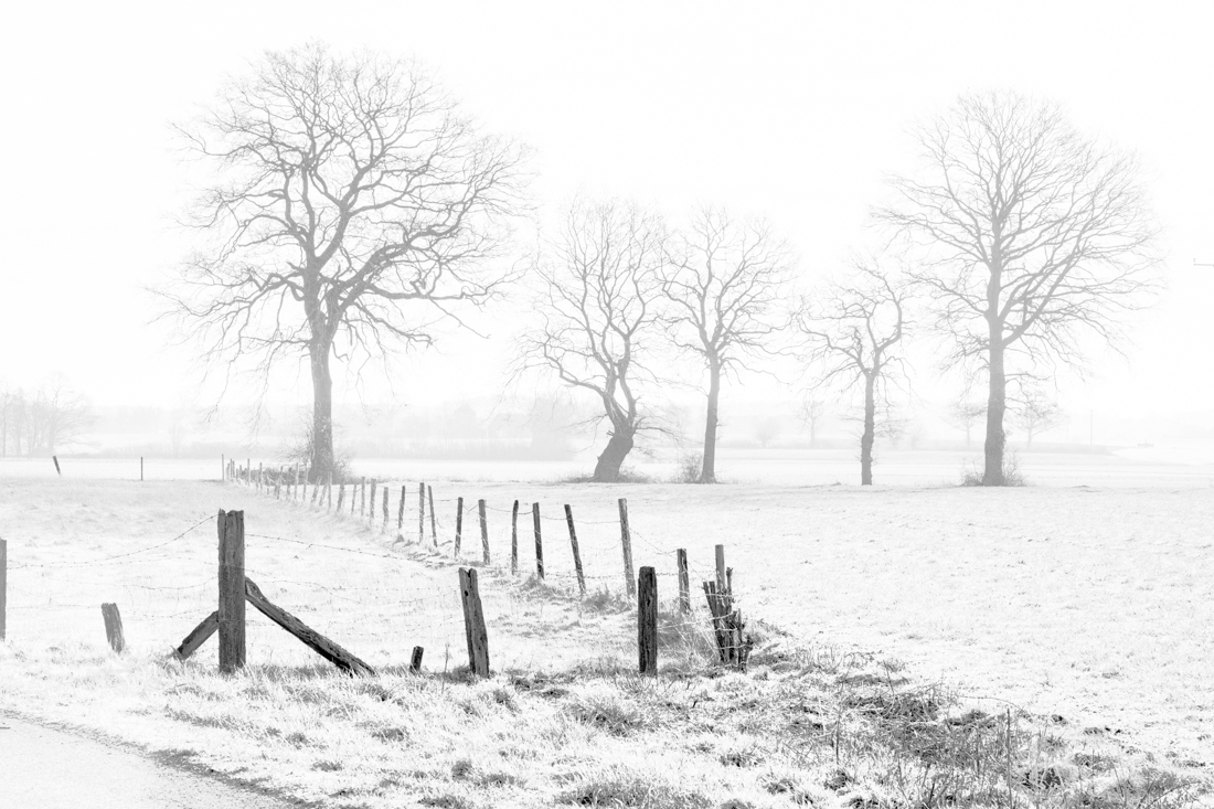 Misty paths into silence
