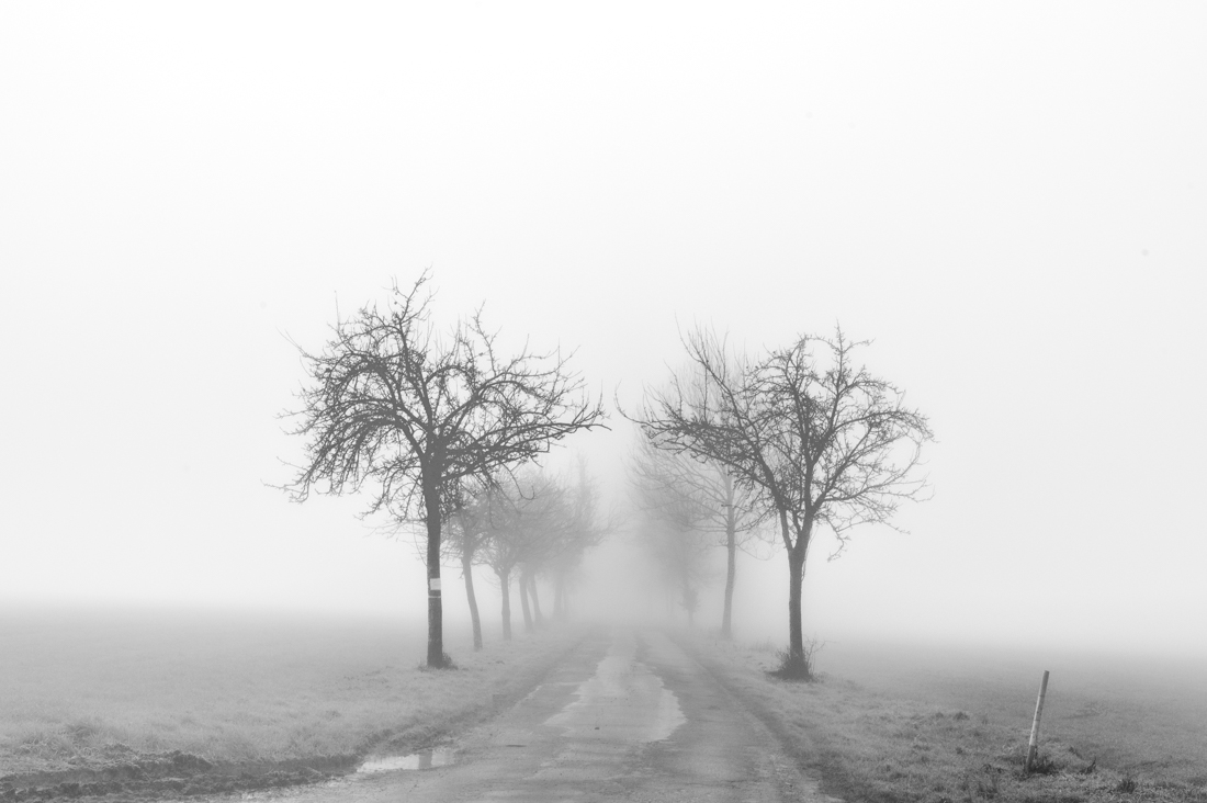 Misty paths into silence