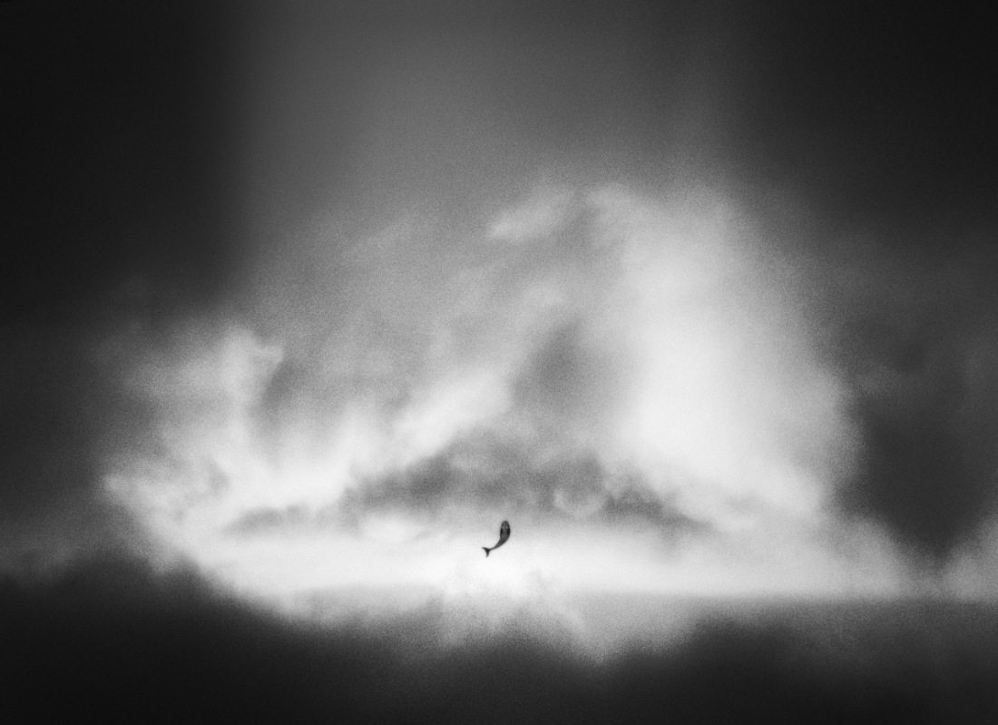 Freedom