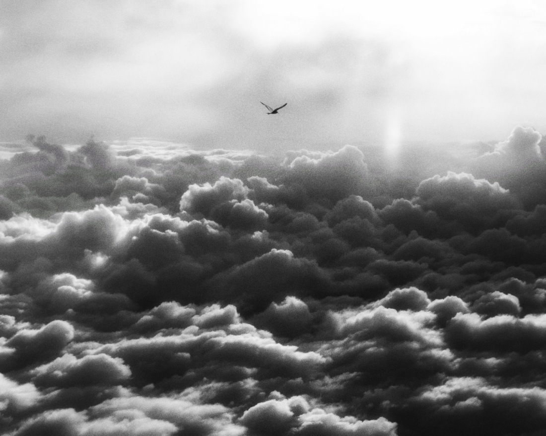 Freedom