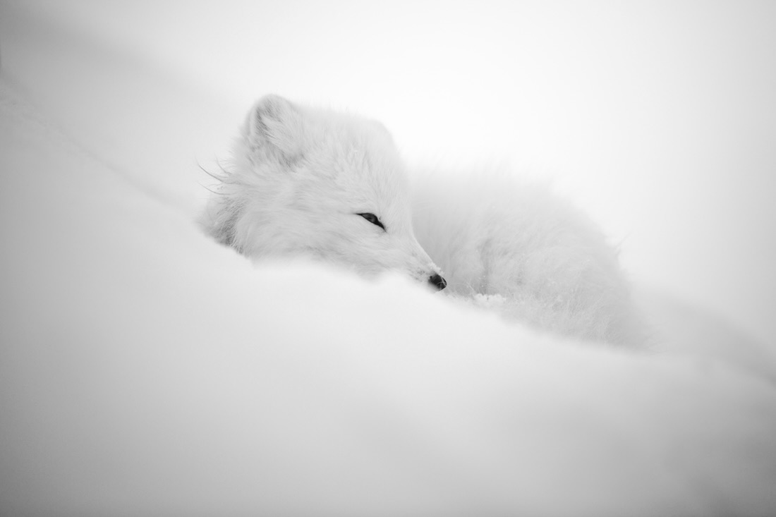 Footprints in the snow