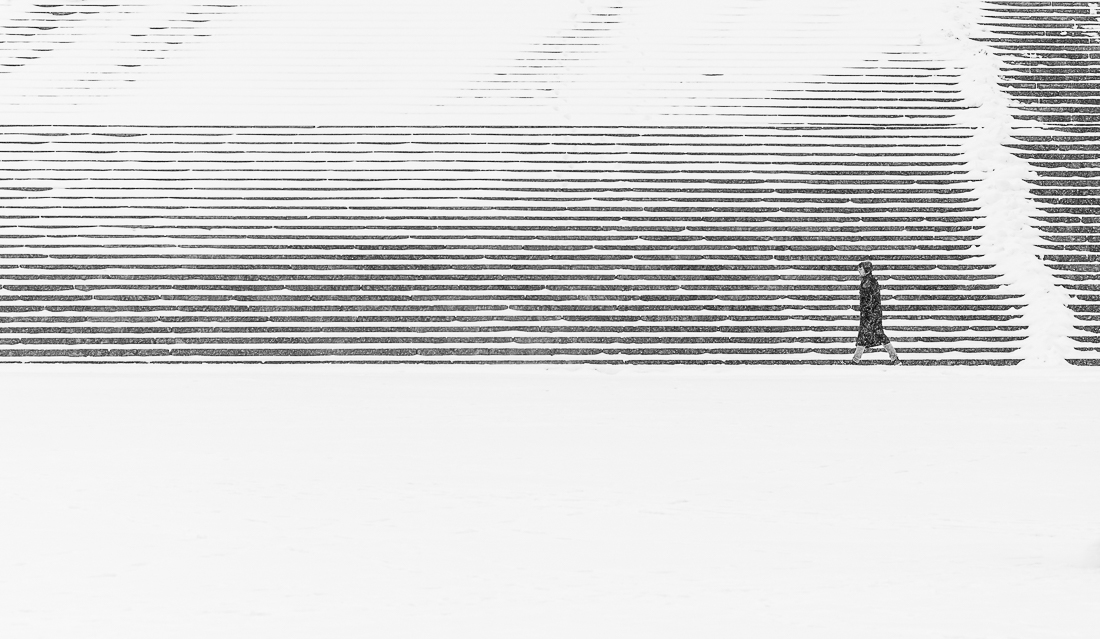 Snowy Steps