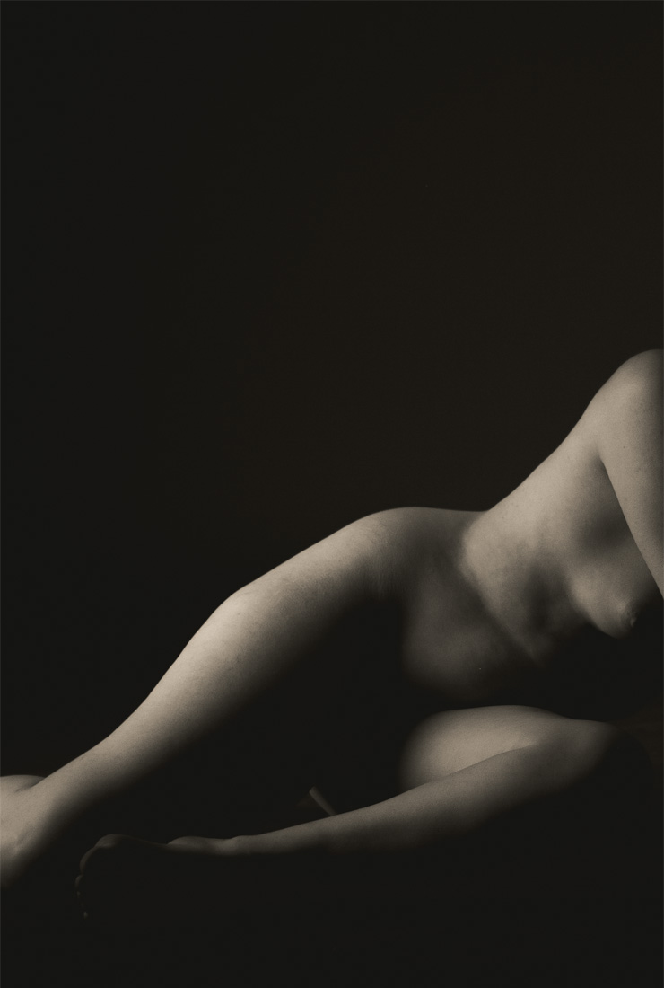 Observing the Body 