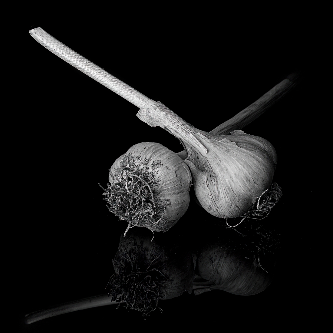 Just Garlic