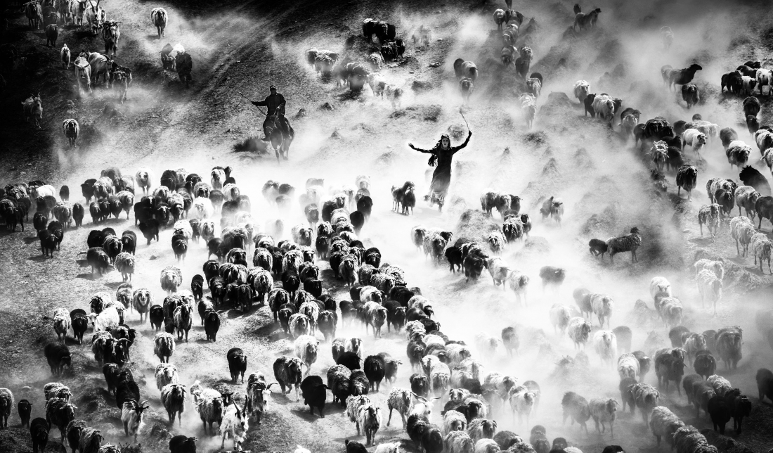 Kazakh Sheep Driving Goddess