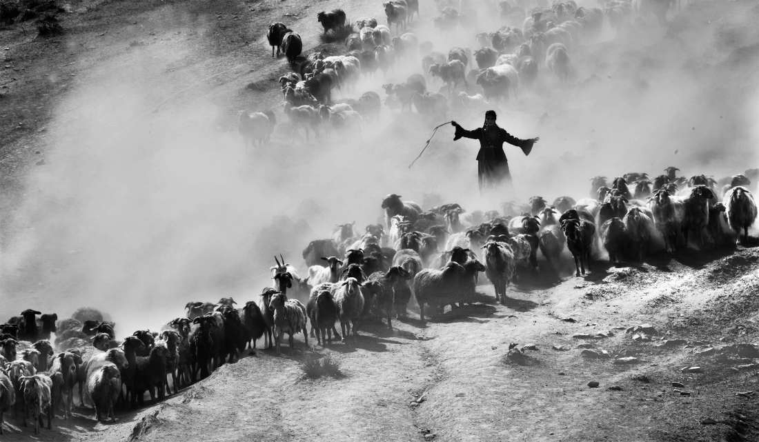 Kazakh Sheep Driving Goddess