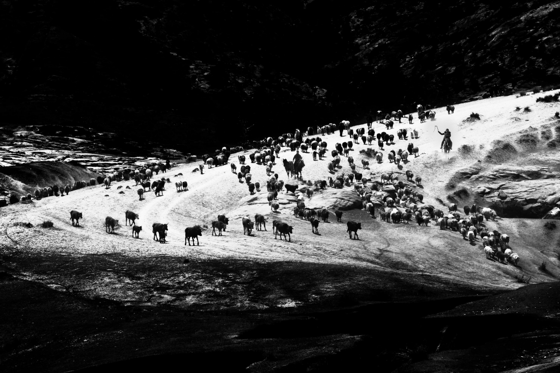 Kazakh Sheep Driving Goddess