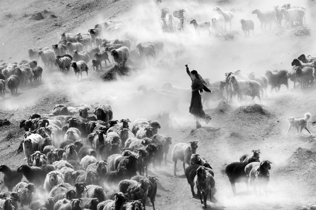 Kazakh Sheep Driving Goddess