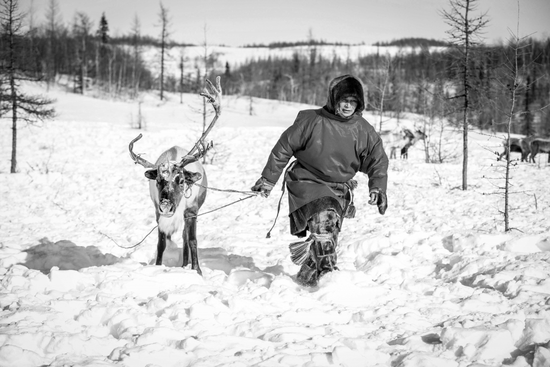 Russian Nenets