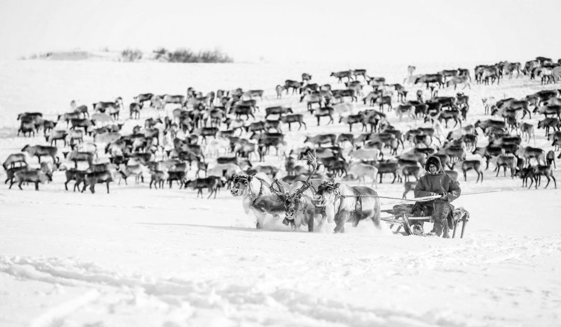 Russian Nenets