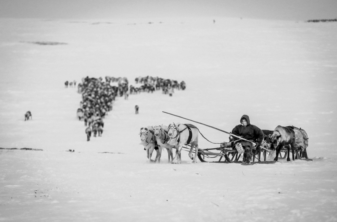 Russian Nenets