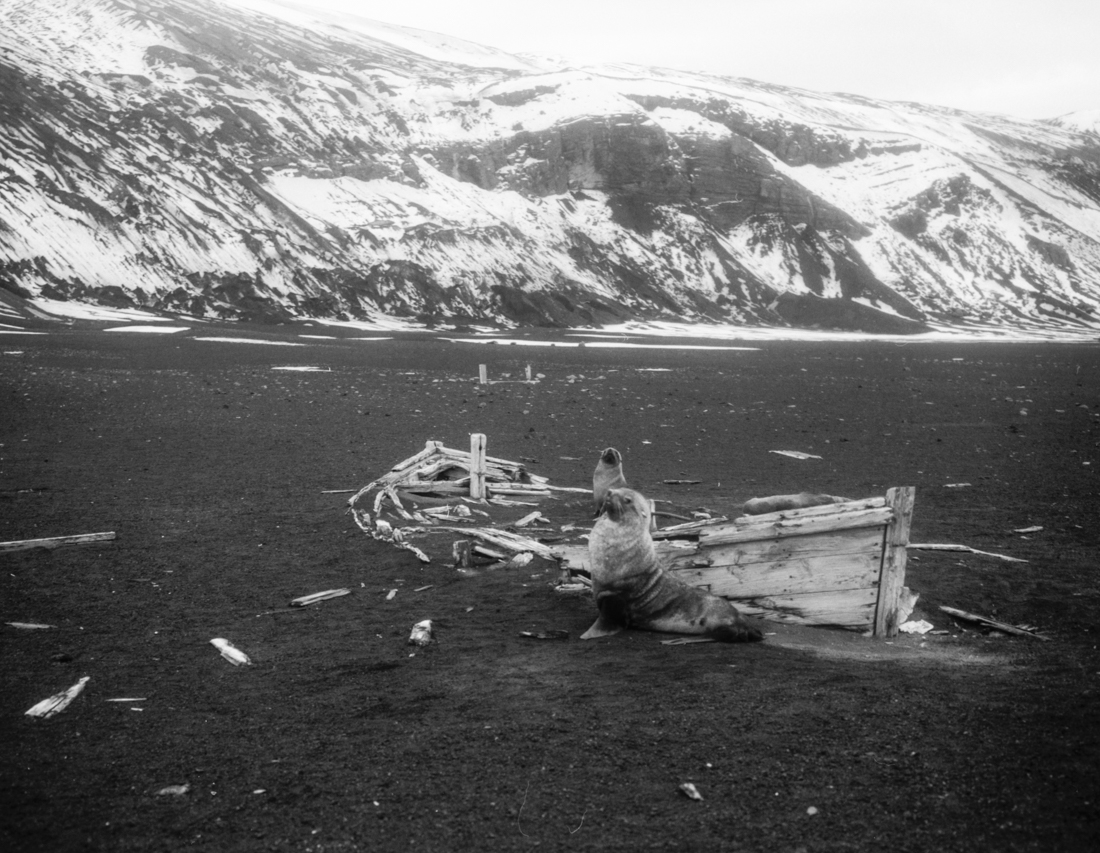 A visit on Deception Island Antarctica