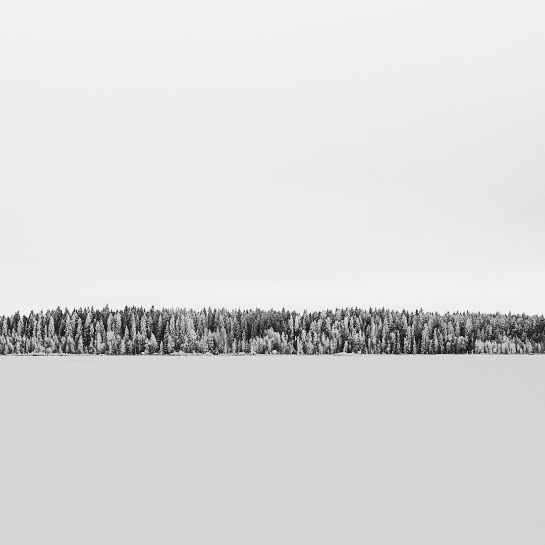 Frozen line