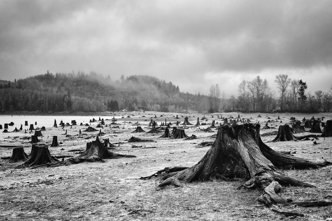 Alder Lake