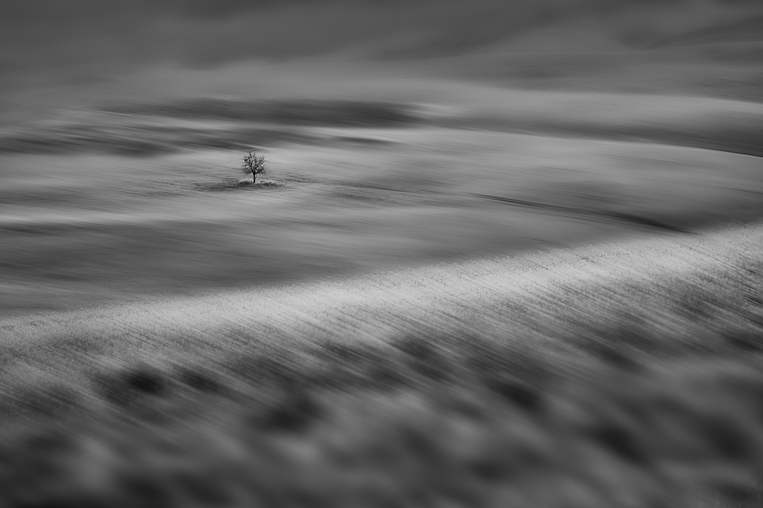Alone