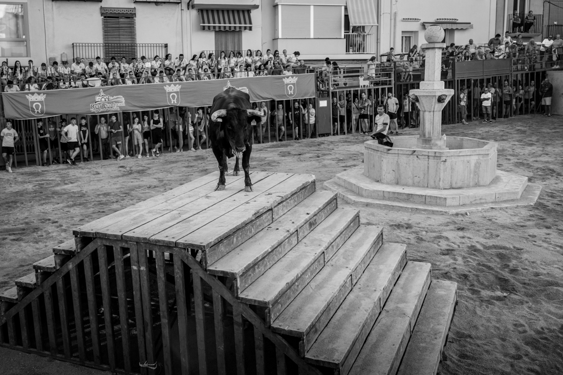 Traiguera festivities