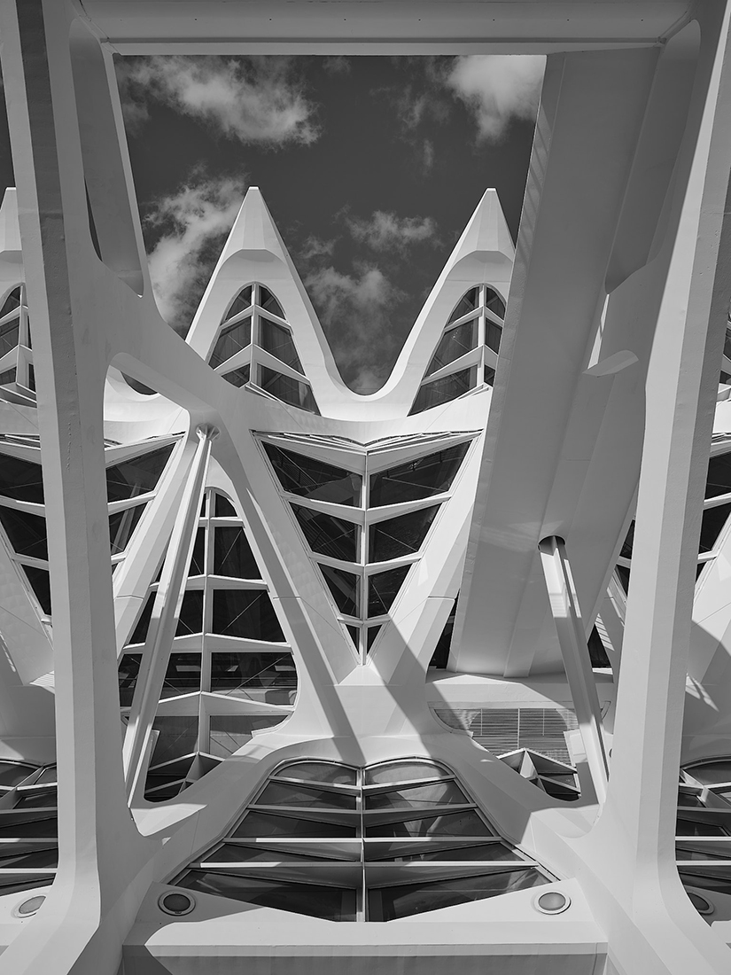 Museo de las Ciencias Príncipe Felipe