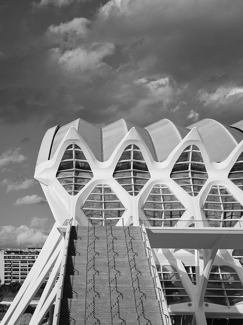 Museo de las Ciencias Príncipe Felipe