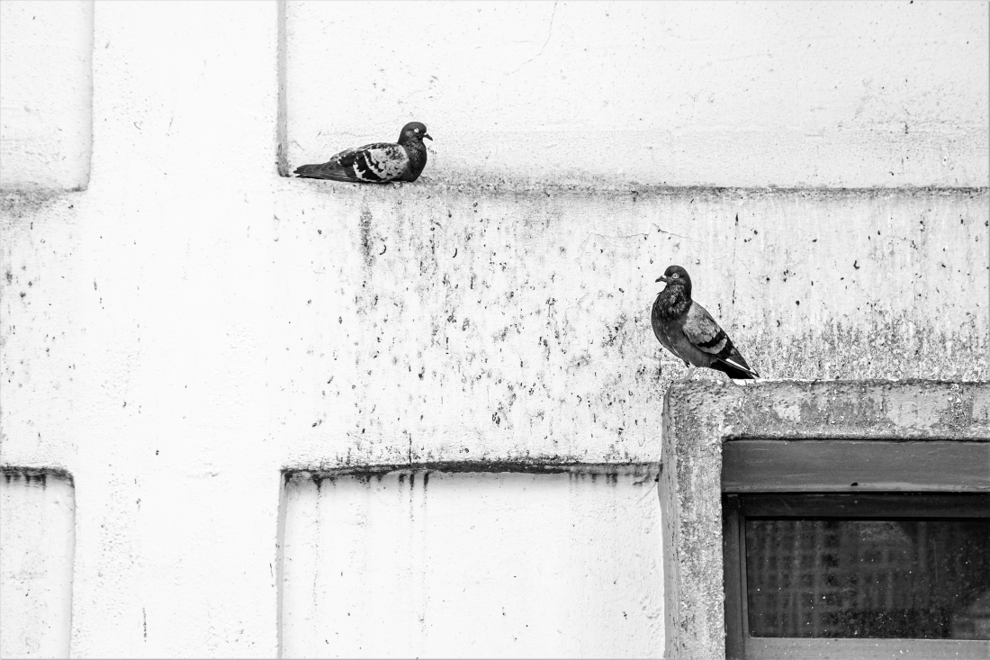 In the alleyways of Singapore’s China Town