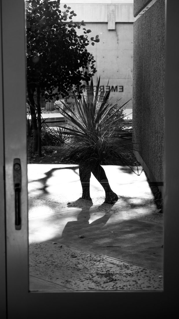 Shadow People