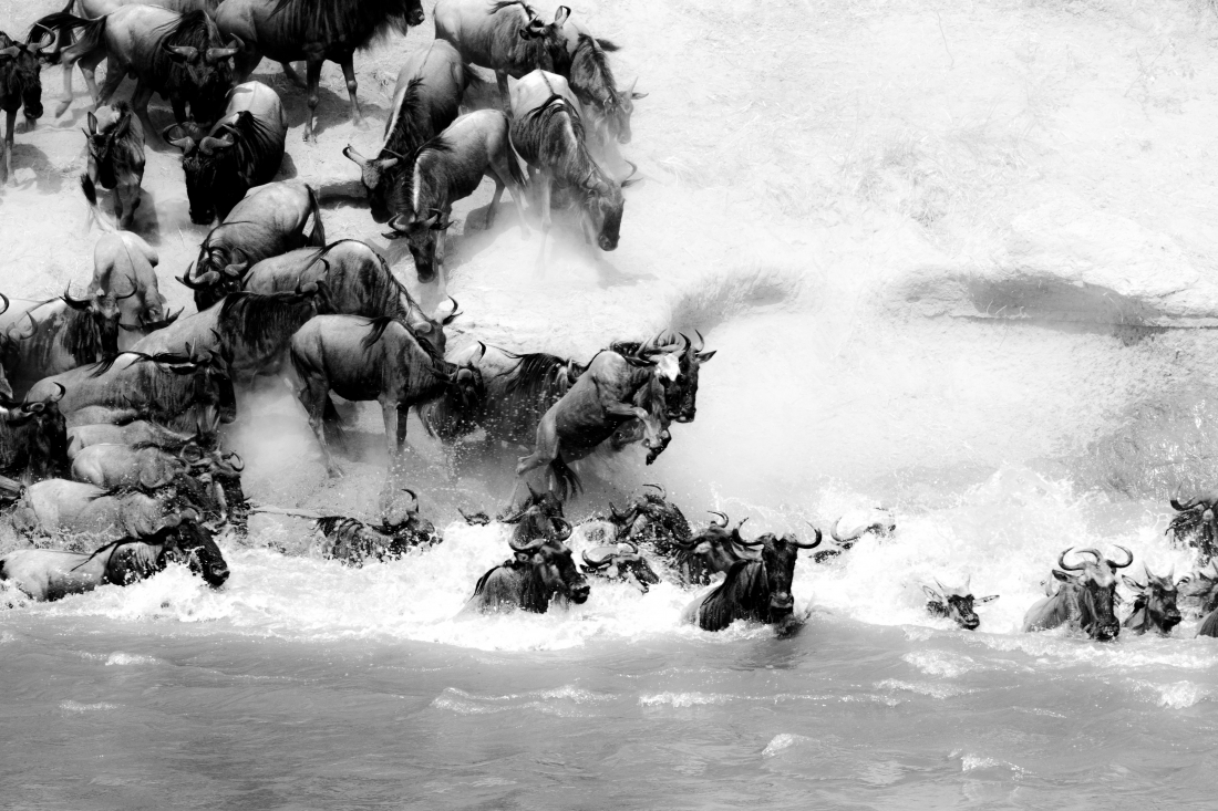 Leaping Into The Breech