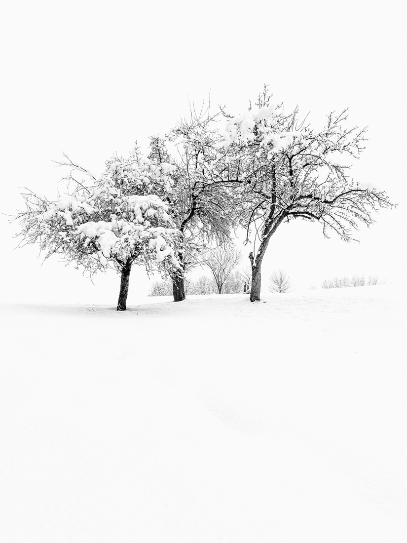 Winterwonderland!