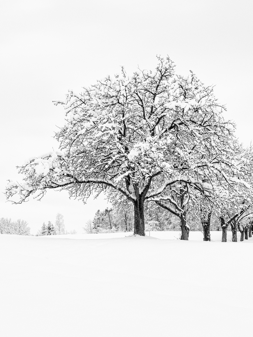 Winterwonderland!