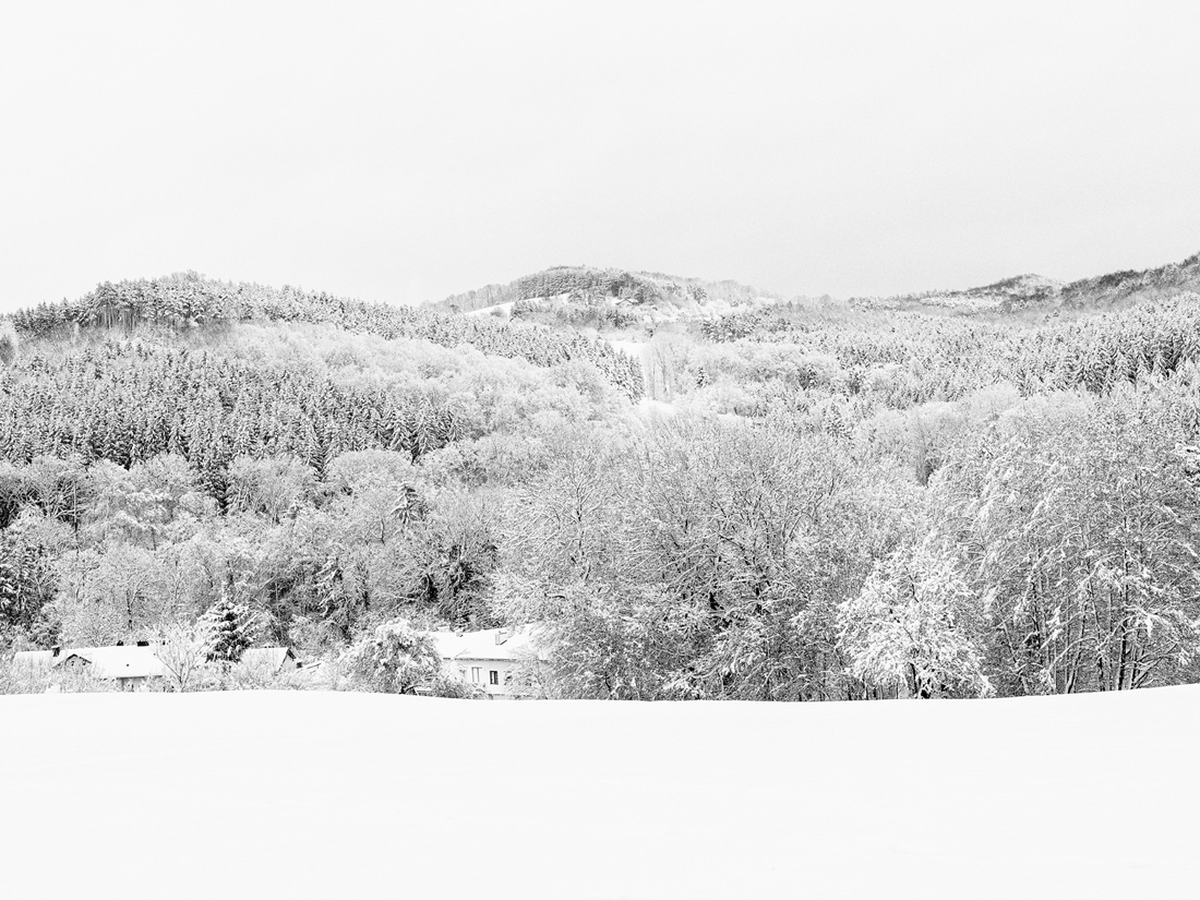 Winterwonderland!