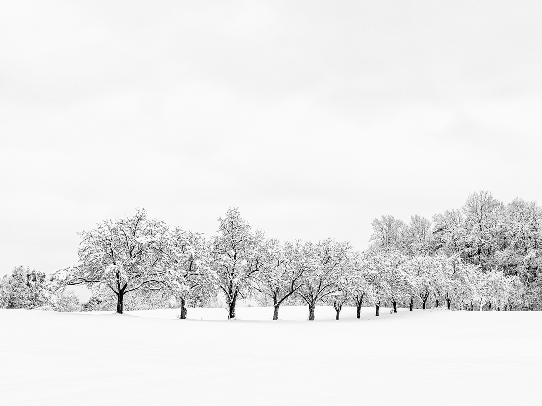 Winterwonderland!