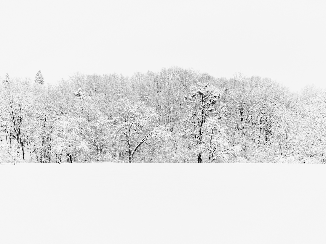 Winterwonderland!