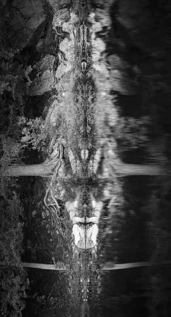 Spirits of Our Spirit