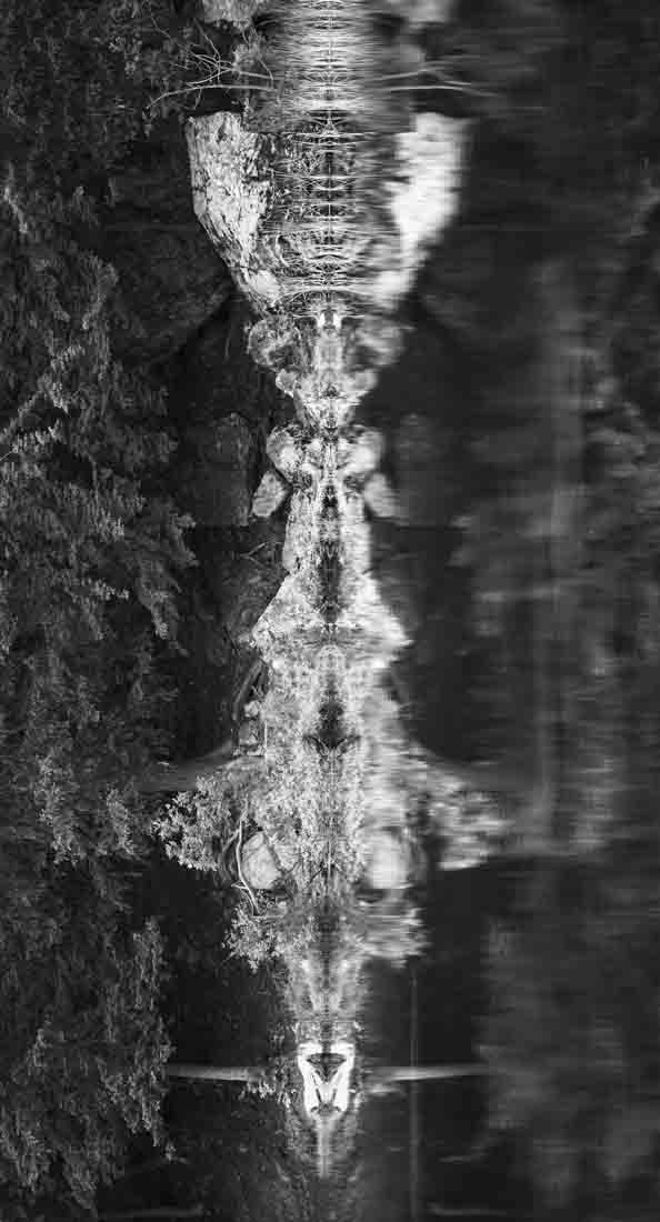 Spirits of Our Spirit