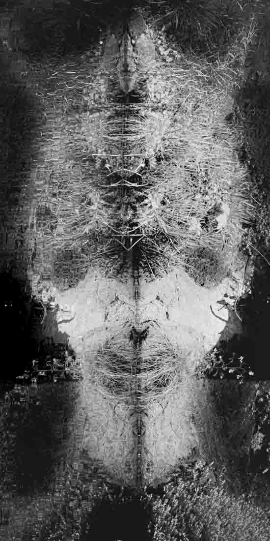 Spirits of Our Spirit