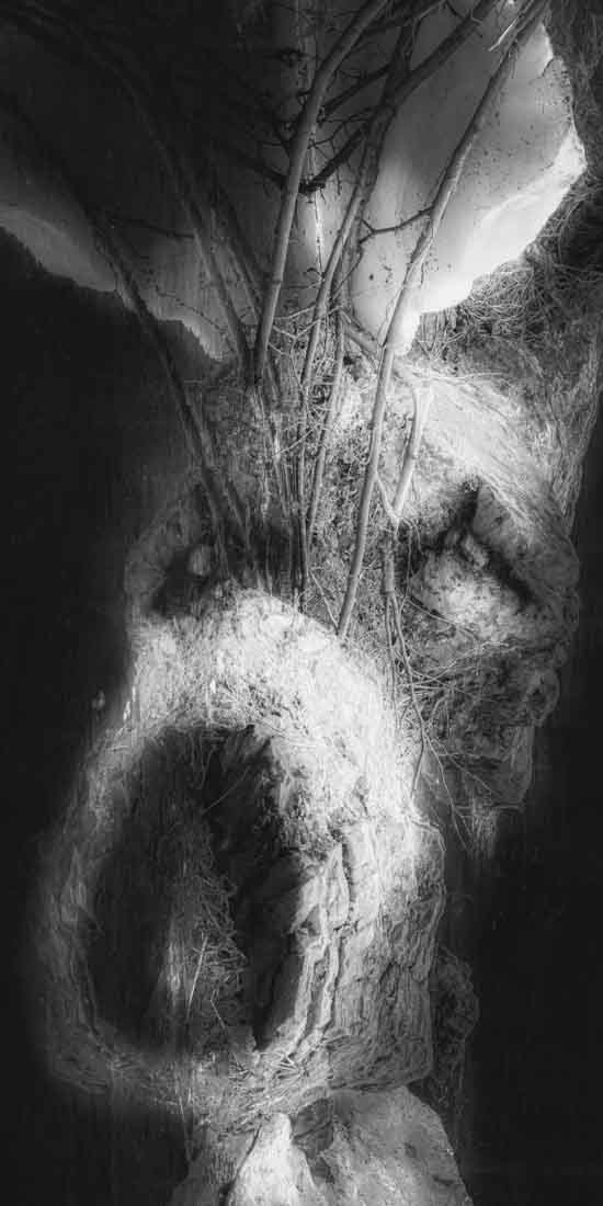 Spirits of Our Spirit
