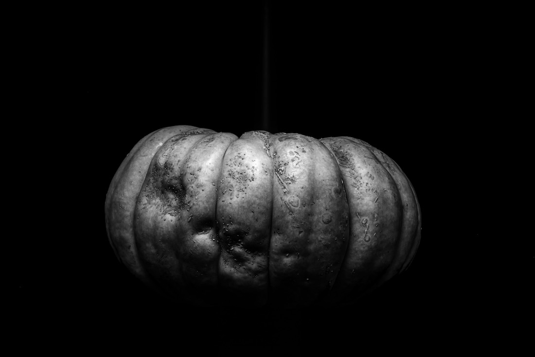 Still-Life Studies