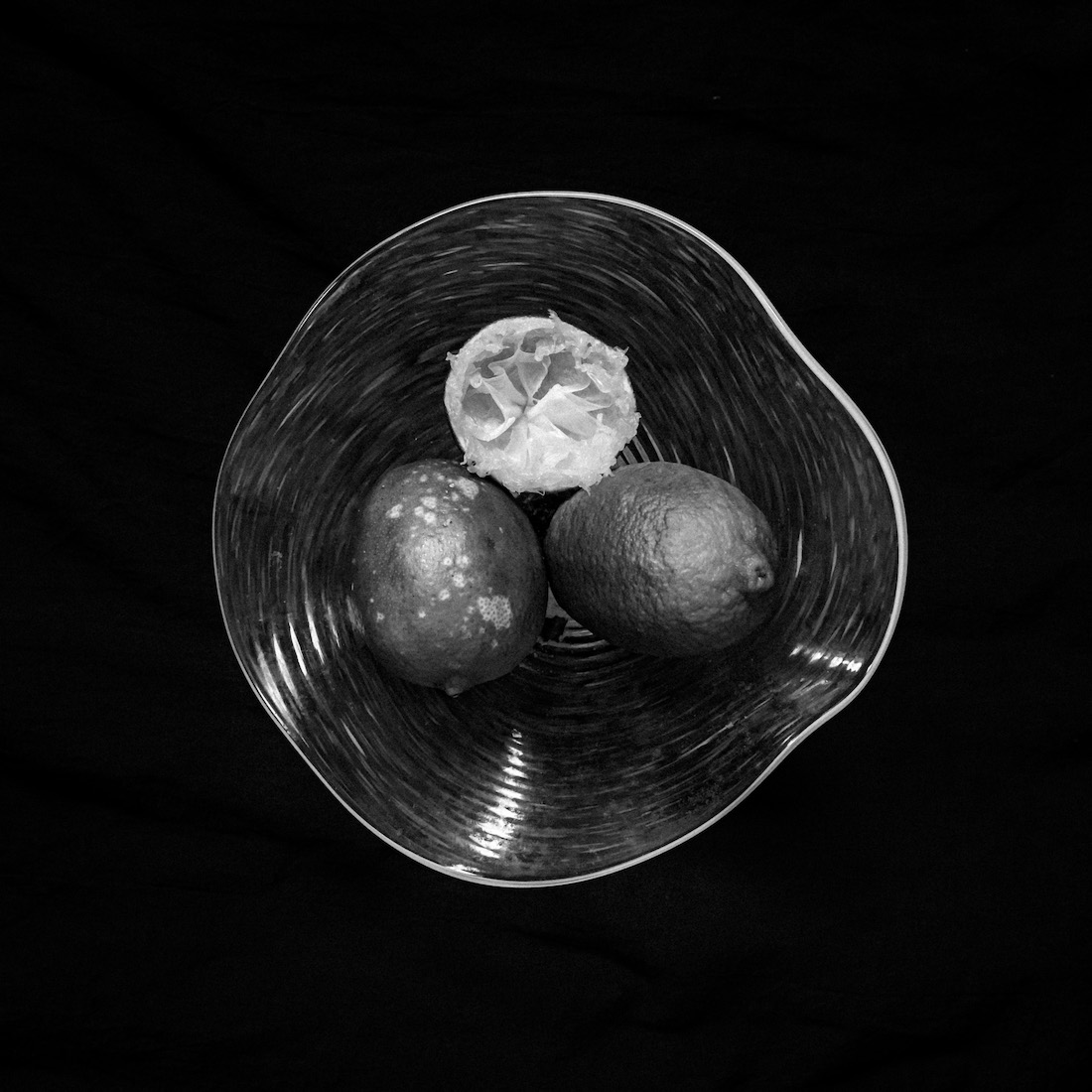 Still-Life Studies